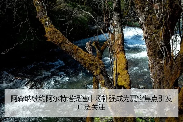 阿森纳续约阿尔特塔提速中场补强成为夏窗焦点引发广泛关注
