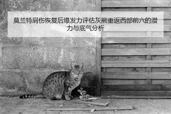 莫兰特肩伤恢复后爆发力评估灰熊重返西部前六的潜力与底气分析