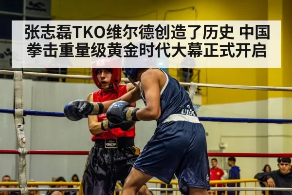 张志磊TKO维尔德创造了历史 中国拳击重量级黄金时代大幕正式开启